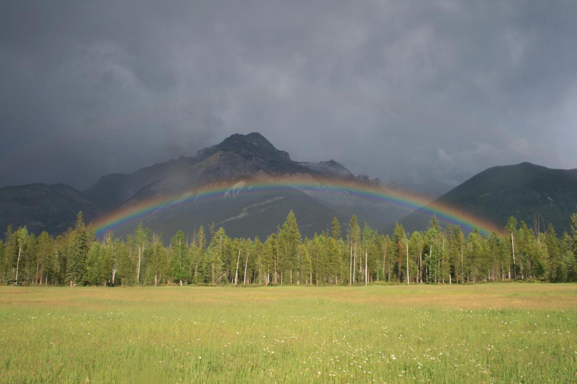 Rocky Mountain Cabins And Home Golden Exterior photo